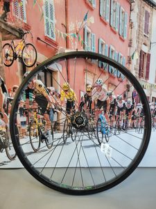 Roue AV Winora 26*1.9 Exal XL 25 - 1
