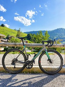 WILIER Filante T56 - 1