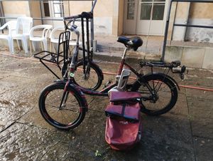 tricycle PMR occasion - 1