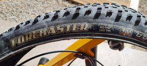 Pneu maxxis forekaster 29 x 2.35 exo tr - MAXXIS  - 1