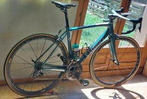 specialized  - 1