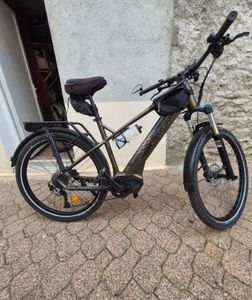 Vtc électrique Nakamura E-crossover . XA - 1