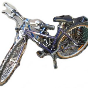VTC Decathlon Riverside 300 - Cadre ouvert - Taill... - 1