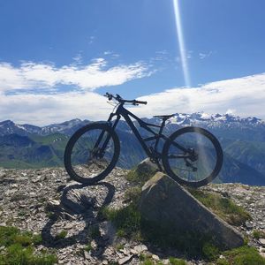 Orbea occam  - 1