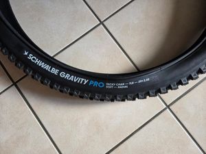 Tachy Chan Schwalbe  - 1
