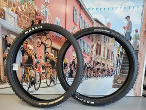 Paire de pneus de VTT Maxxis Minnion Dhf - 1