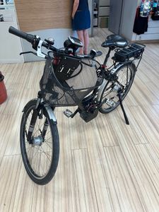 Vélo électrique SINUS B1 Mono Nexus 7V (2013) – Ma... - 1