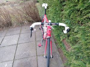 Focus izalco - 1