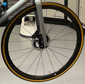 Paire de roues Roval Alpinist CLX - 1