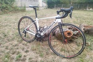 Orbea H50  - 1
