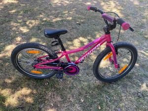 SPECIALIZED RIPROCK 20'' - 1