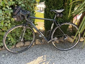 CANNONDALE SYNAPSE HM CAMPAGNOLO  - 1