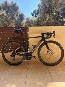 Megamo pulse 2025  - 1
