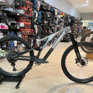 Specialized Stumpjumper EVO Alloy - 1