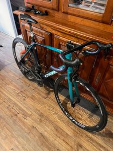 Orbea orca  - 1
