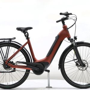 WINORA Tria N8 Eco 51 - 1