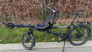 Tandem Hase Pino - 1