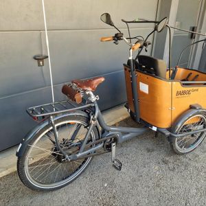 Vélo cargo Triporteur - Babboe Curve Mountain - 50... - 1