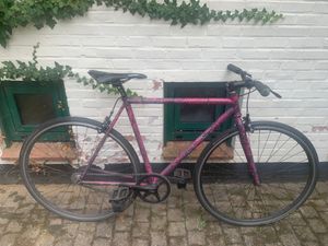 Single speed Focale 44 - 1