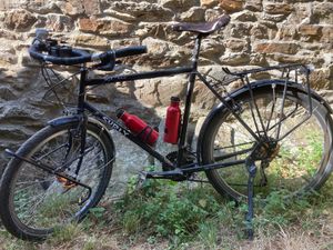 Surly long haul trucker - 1
